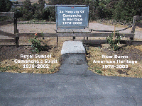 In Memory of Comanche and HEritage